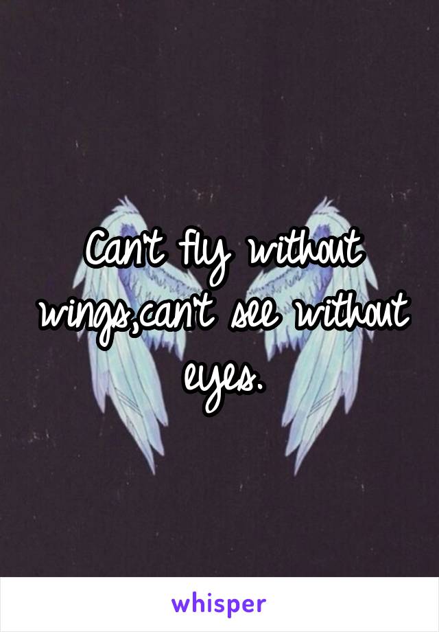 Can't fly without wings,can't see without eyes.