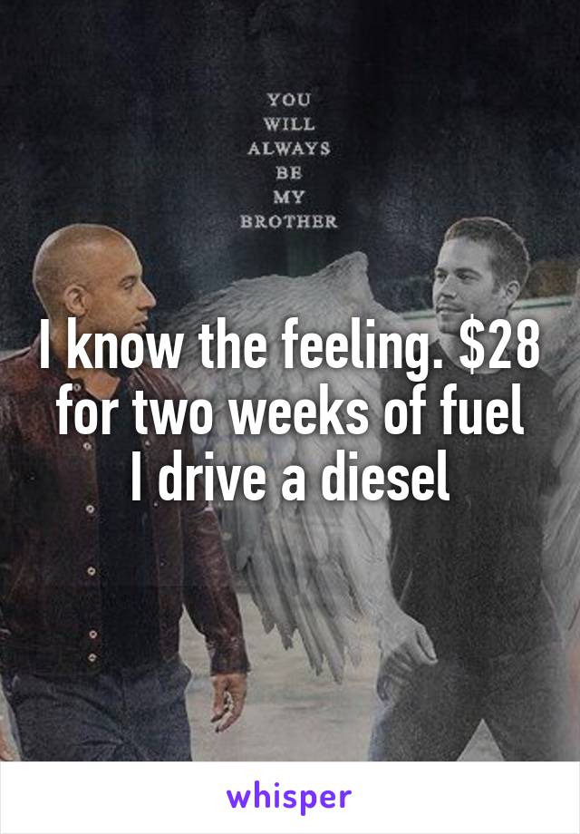 I know the feeling. $28 for two weeks of fuel
I drive a diesel