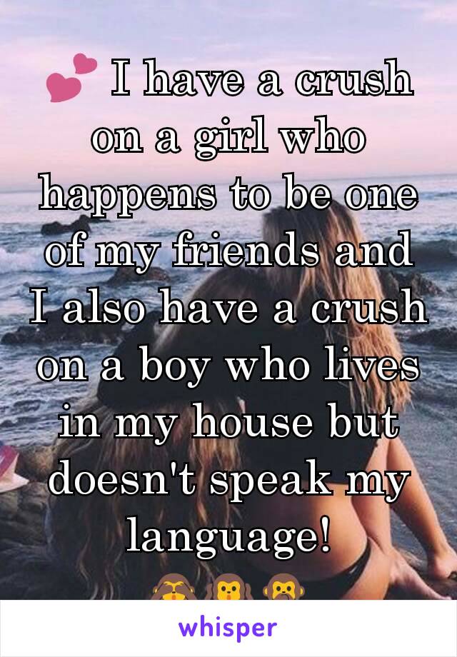 💕 I have a crush on a girl who happens to be one of my friends and I also have a crush on a boy who lives in my house but doesn't speak my language!
🙈🙉🙊