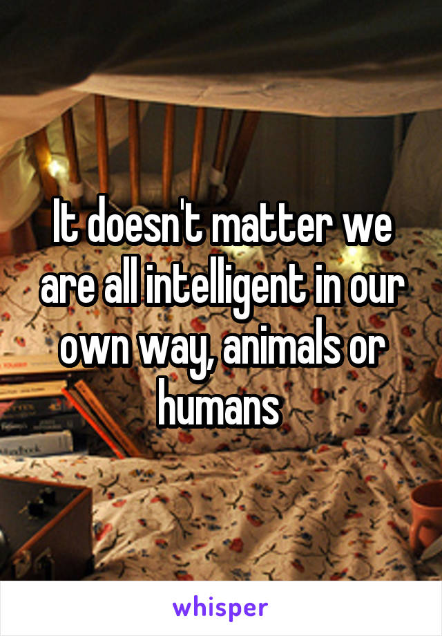 It doesn't matter we are all intelligent in our own way, animals or humans 