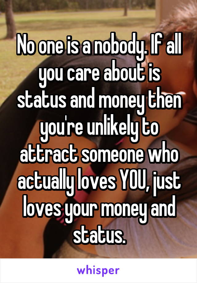 No one is a nobody. If all you care about is status and money then you're unlikely to attract someone who actually loves YOU, just loves your money and status.