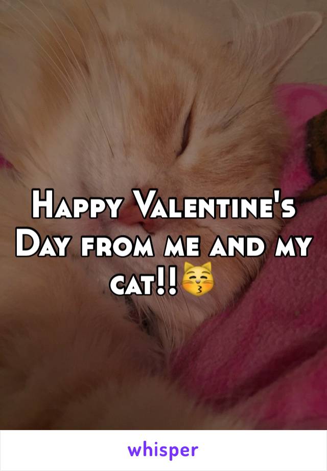 Happy Valentine's Day from me and my cat!!😽