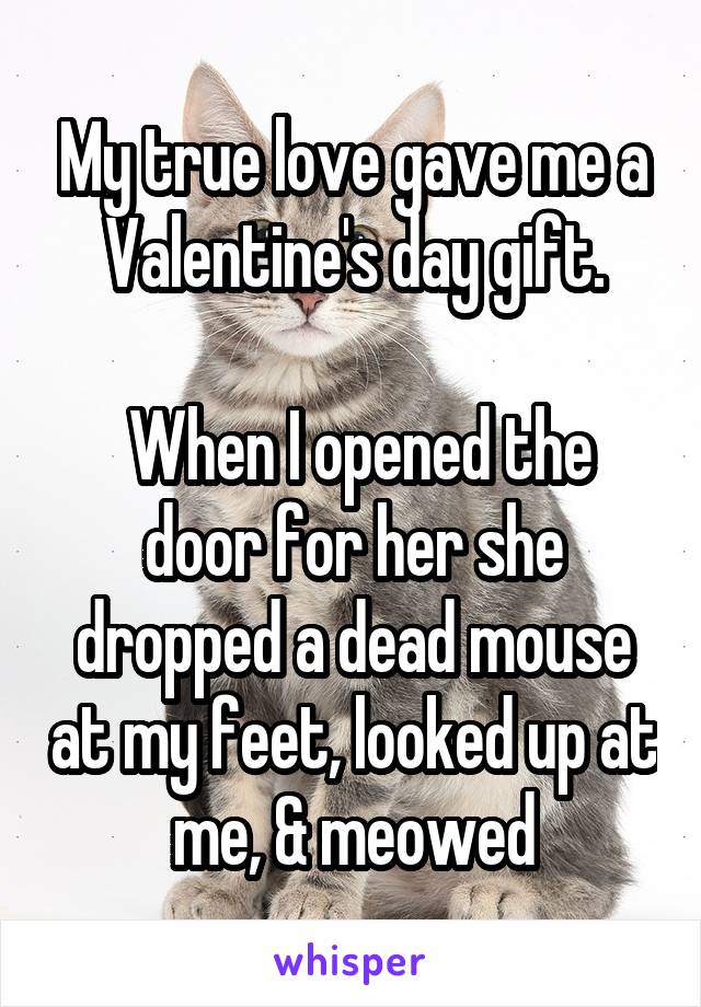 My true love gave me a Valentine's day gift.

 When I opened the door for her she dropped a dead mouse at my feet, looked up at me, & meowed