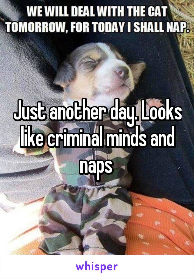 Just another day. Looks like criminal minds and naps 