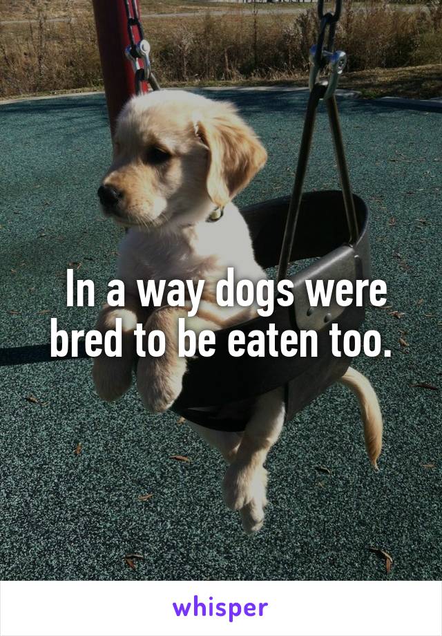  In a way dogs were bred to be eaten too.