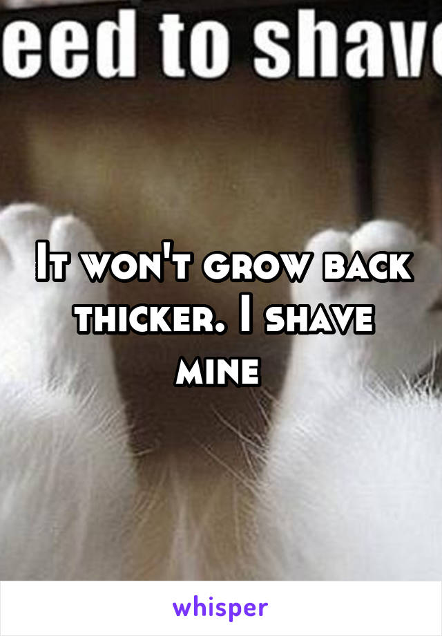 It won't grow back thicker. I shave mine 