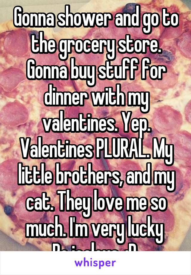 Gonna shower and go to the grocery store. Gonna buy stuff for dinner with my valentines. Yep. Valentines PLURAL. My little brothers, and my cat. They love me so much. I'm very lucky 
Be jealous. :P 