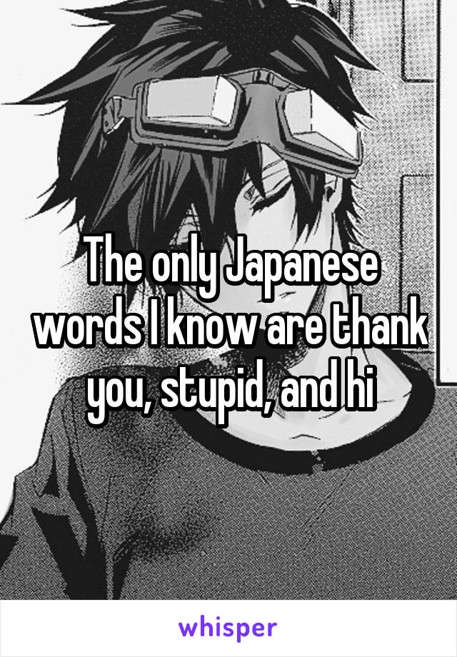The only Japanese words I know are thank you, stupid, and hi