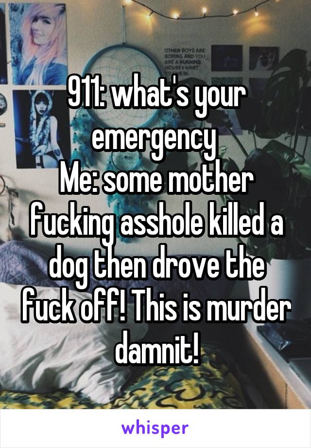 911: what's your emergency 
Me: some mother fucking asshole killed a dog then drove the fuck off! This is murder damnit!