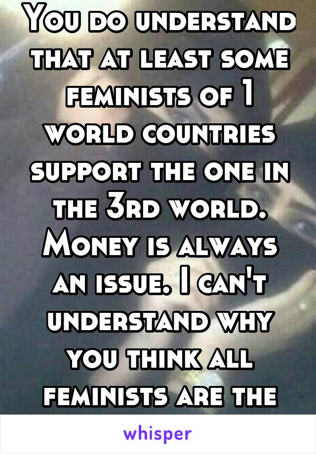 You do understand that at least some feminists of 1 world countries support the one in the 3rd world. Money is always an issue. I can't understand why you think all feminists are the same