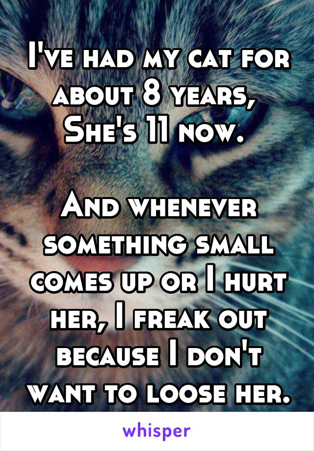 I've had my cat for about 8 years, 
She's 11 now. 

And whenever something small comes up or I hurt her, I freak out because I don't want to loose her.