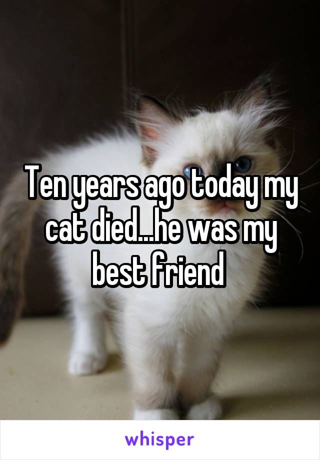 Ten years ago today my cat died...he was my best friend 