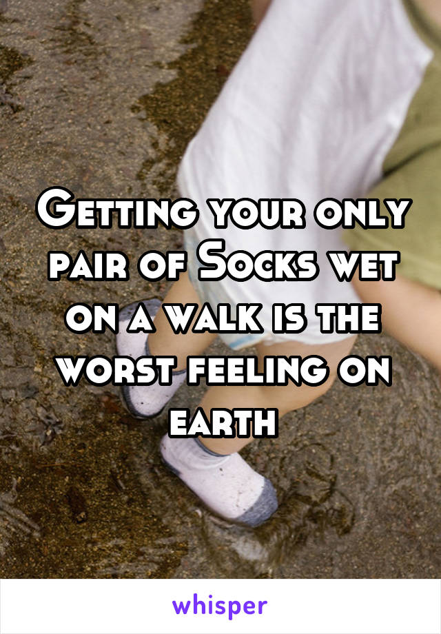 Getting your only pair of Socks wet on a walk is the worst feeling on earth