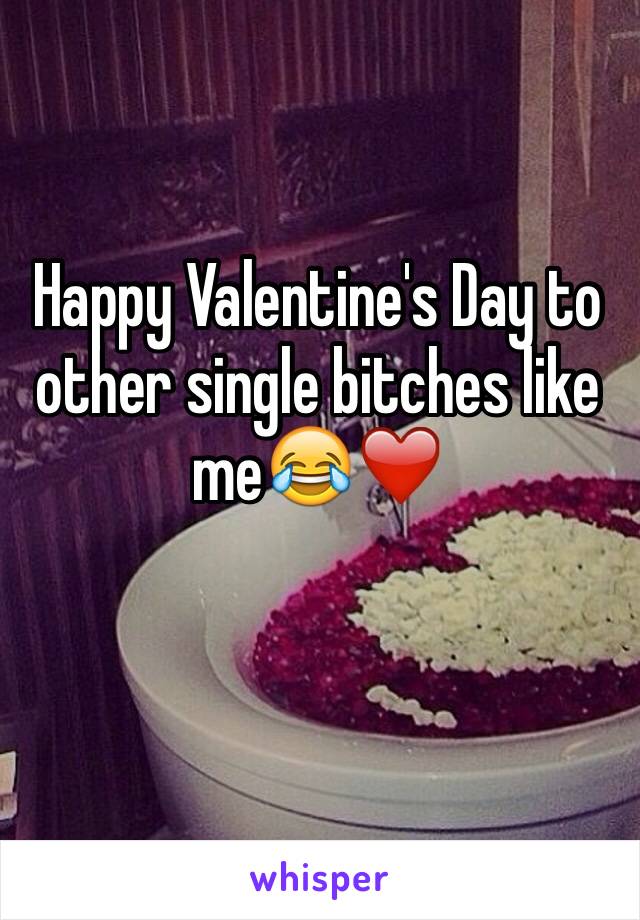 Happy Valentine's Day to other single bitches like me😂❤️