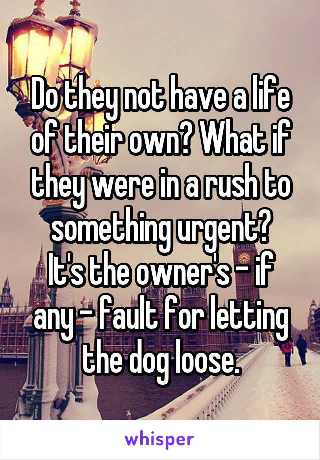 Do they not have a life of their own? What if they were in a rush to something urgent?
It's the owner's - if any - fault for letting the dog loose.