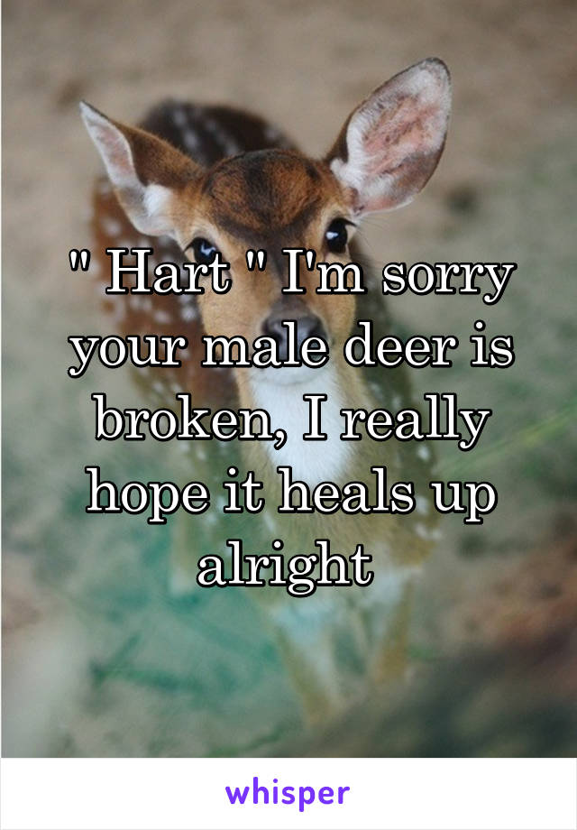 " Hart " I'm sorry your male deer is broken, I really hope it heals up alright 
