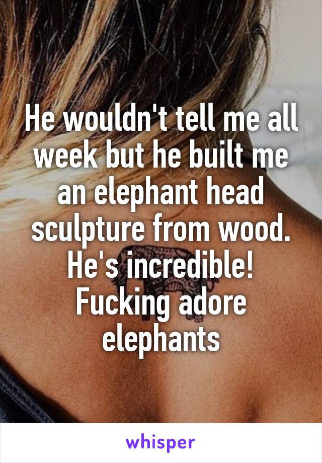 He wouldn't tell me all week but he built me an elephant head sculpture from wood. He's incredible! Fucking adore elephants