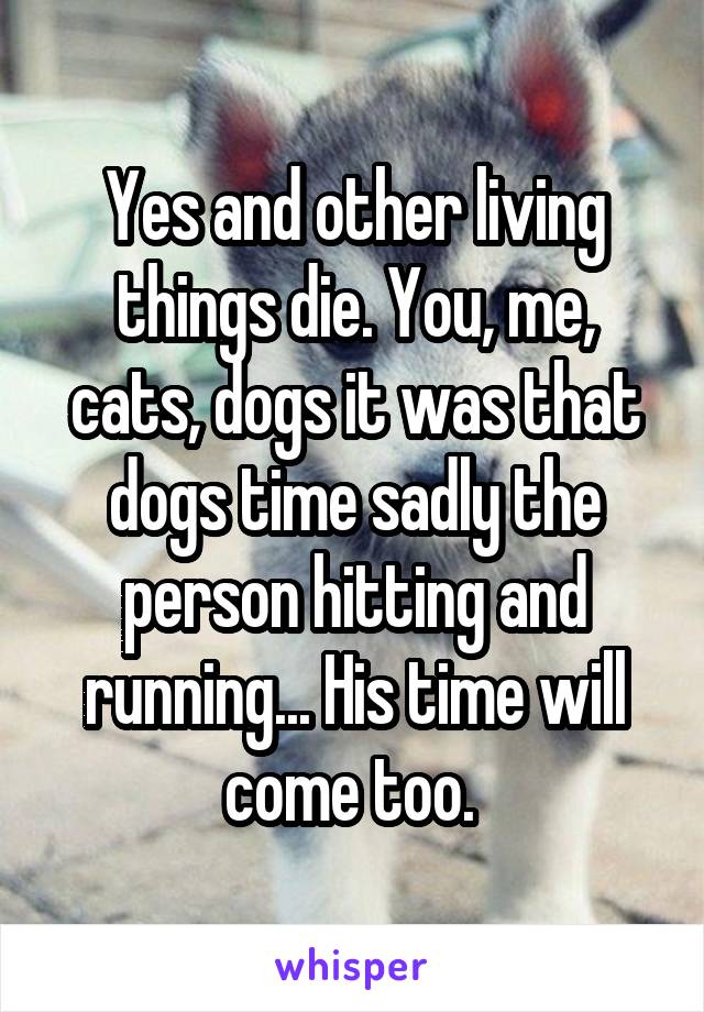 Yes and other living things die. You, me, cats, dogs it was that dogs time sadly the person hitting and running... His time will come too. 