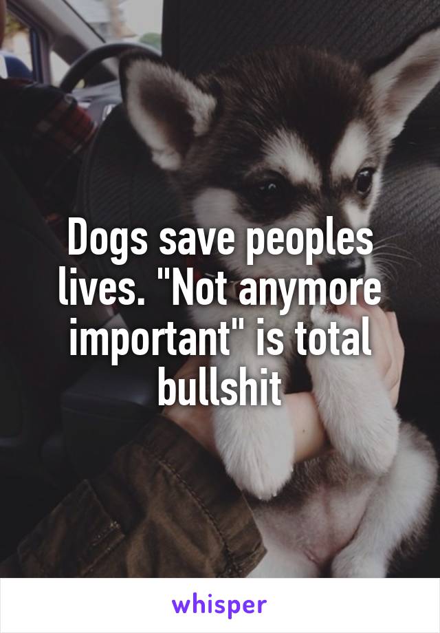 Dogs save peoples lives. "Not anymore important" is total bullshit