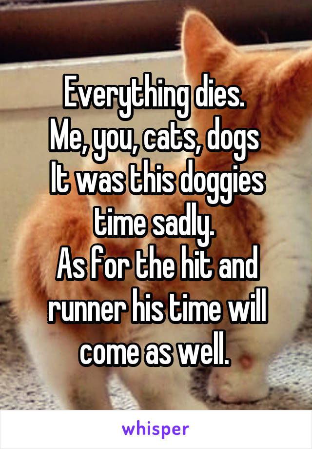 Everything dies. 
Me, you, cats, dogs 
It was this doggies time sadly. 
As for the hit and runner his time will come as well. 