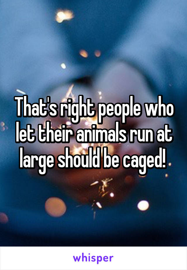 That's right people who let their animals run at large should be caged! 