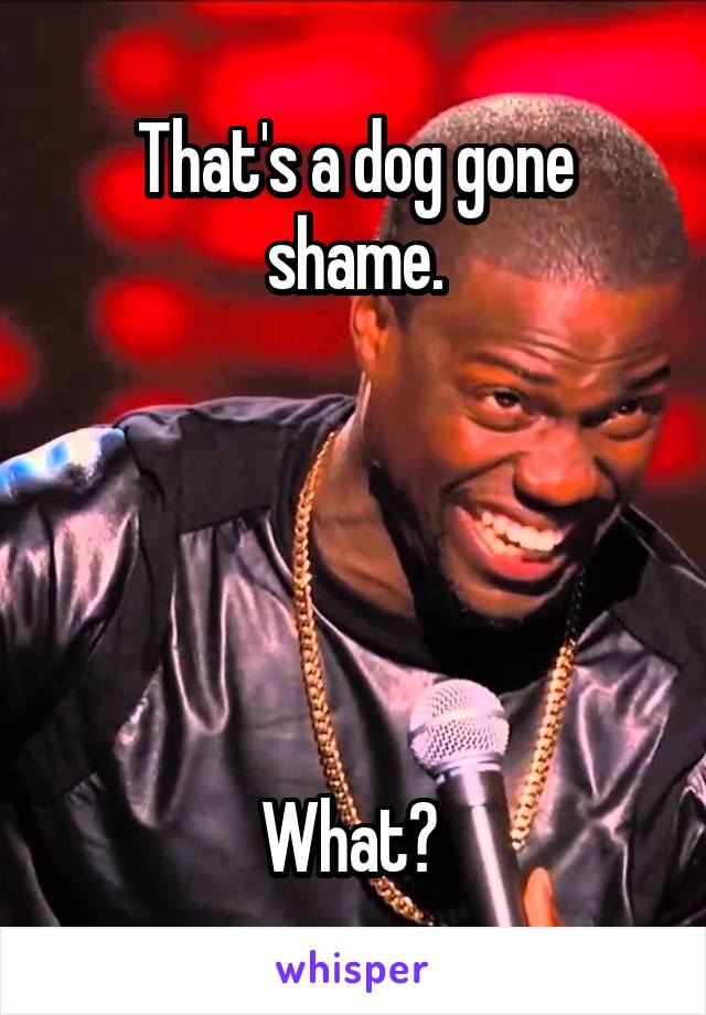 That's a dog gone shame.





What? 