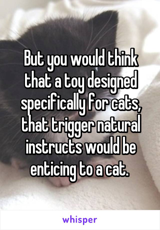 But you would think that a toy designed specifically for cats, that trigger natural instructs would be enticing to a cat. 