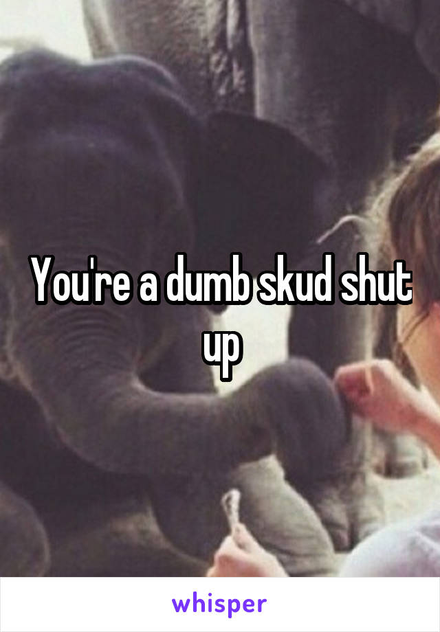 You're a dumb skud shut up
