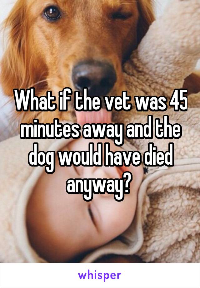 What if the vet was 45 minutes away and the dog would have died anyway? 