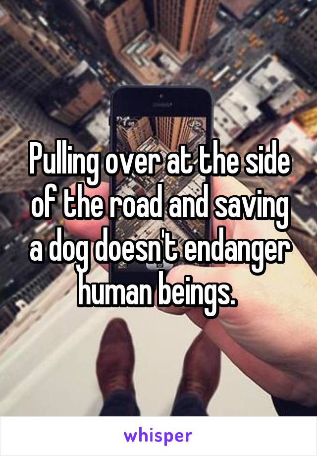 Pulling over at the side of the road and saving a dog doesn't endanger human beings. 