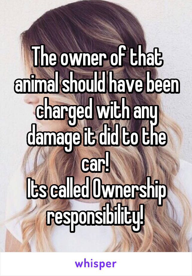 The owner of that animal should have been charged with any damage it did to the car! 
Its called Ownership responsibility! 