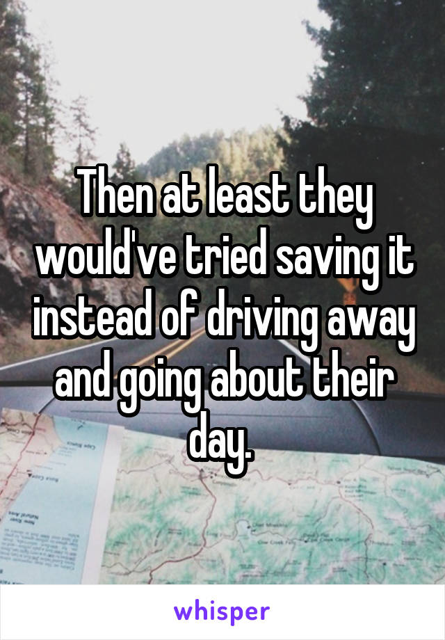 Then at least they would've tried saving it instead of driving away and going about their day. 