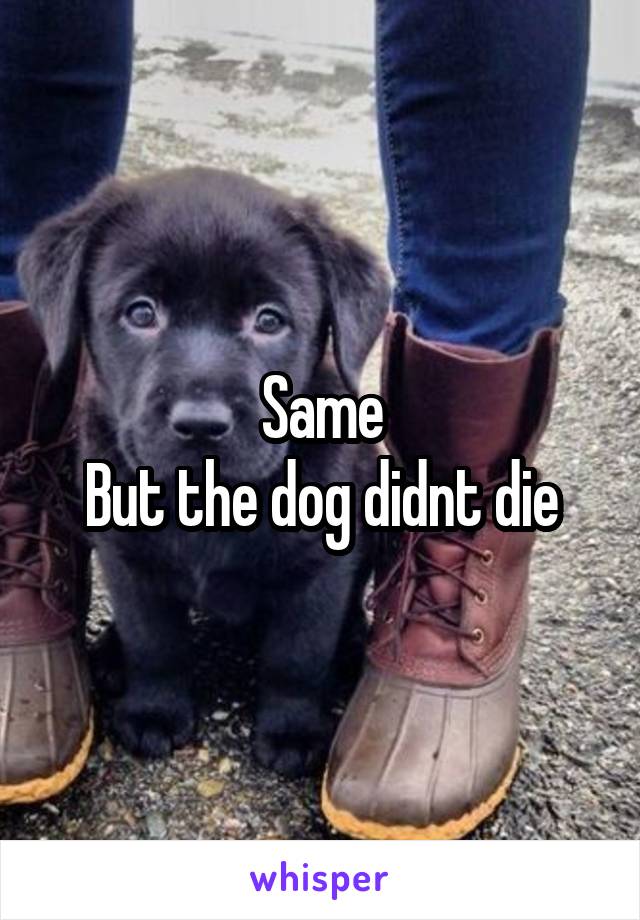 Same
But the dog didnt die