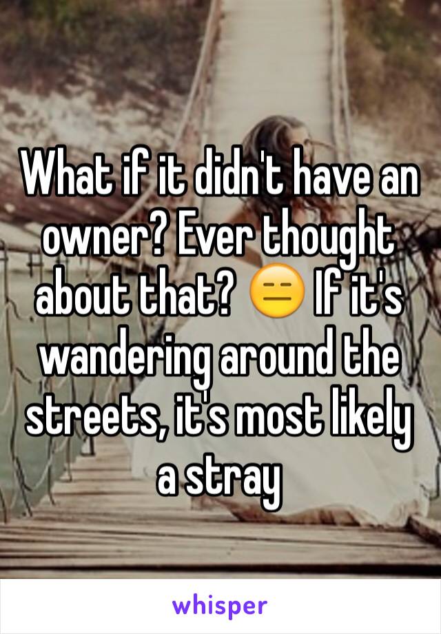 What if it didn't have an owner? Ever thought about that? 😑 If it's wandering around the streets, it's most likely a stray 