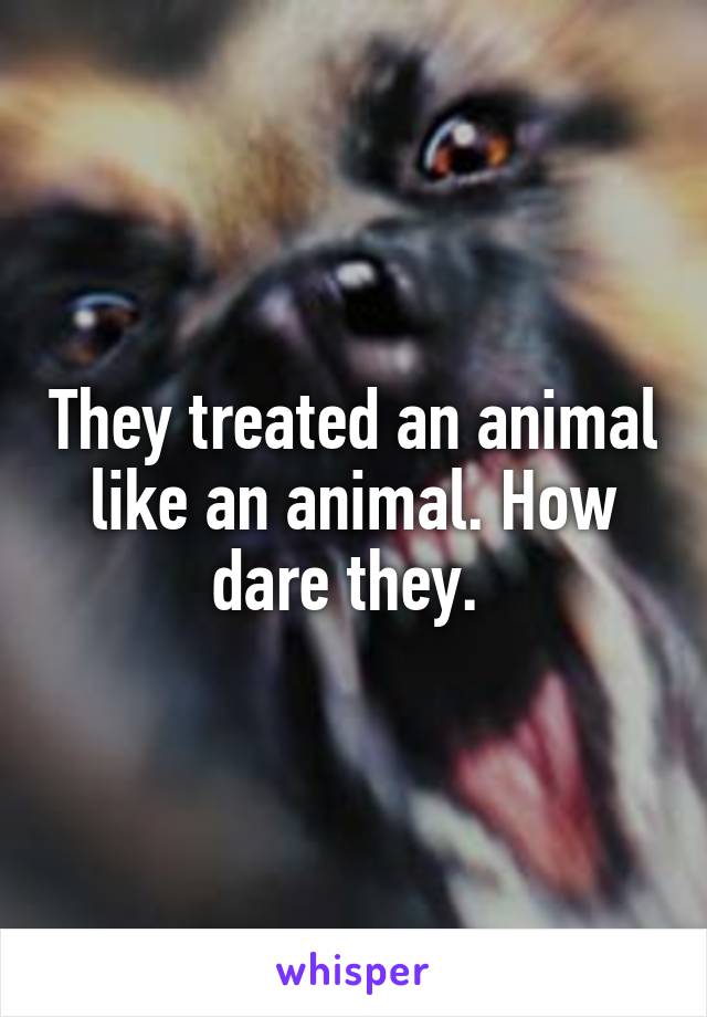 They treated an animal like an animal. How dare they. 