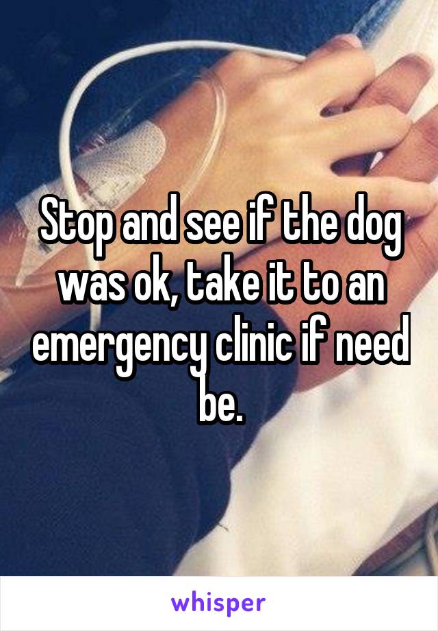 Stop and see if the dog was ok, take it to an emergency clinic if need be.