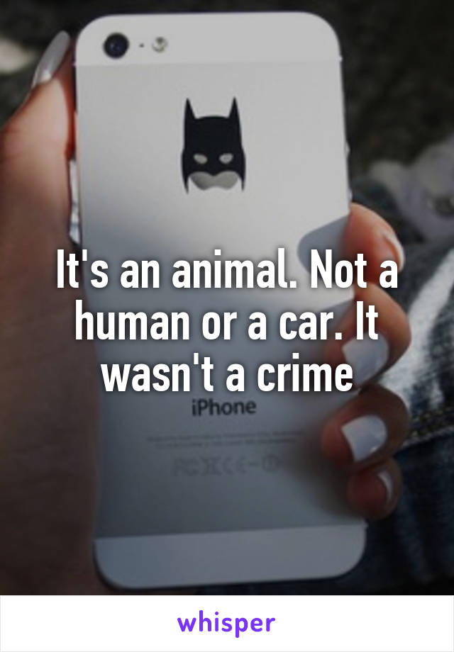 It's an animal. Not a human or a car. It wasn't a crime