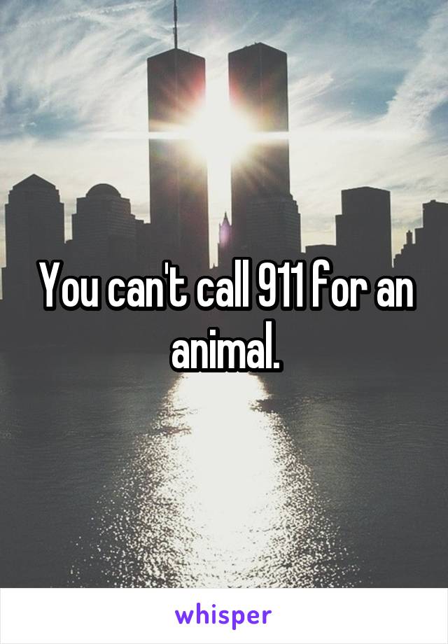 You can't call 911 for an animal.