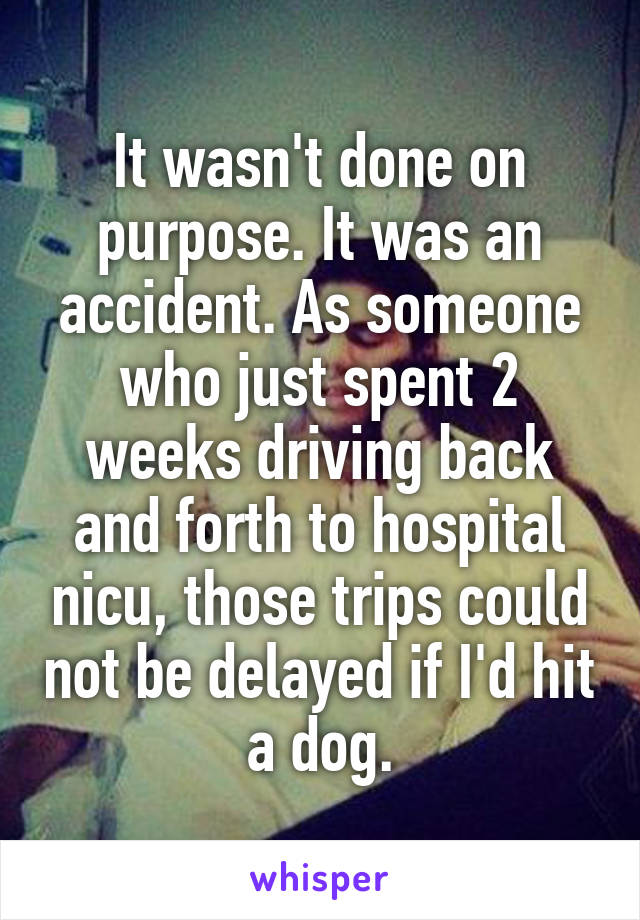 It wasn't done on purpose. It was an accident. As someone who just spent 2 weeks driving back and forth to hospital nicu, those trips could not be delayed if I'd hit a dog.