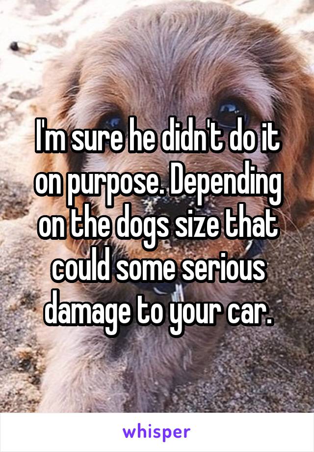 I'm sure he didn't do it on purpose. Depending on the dogs size that could some serious damage to your car.