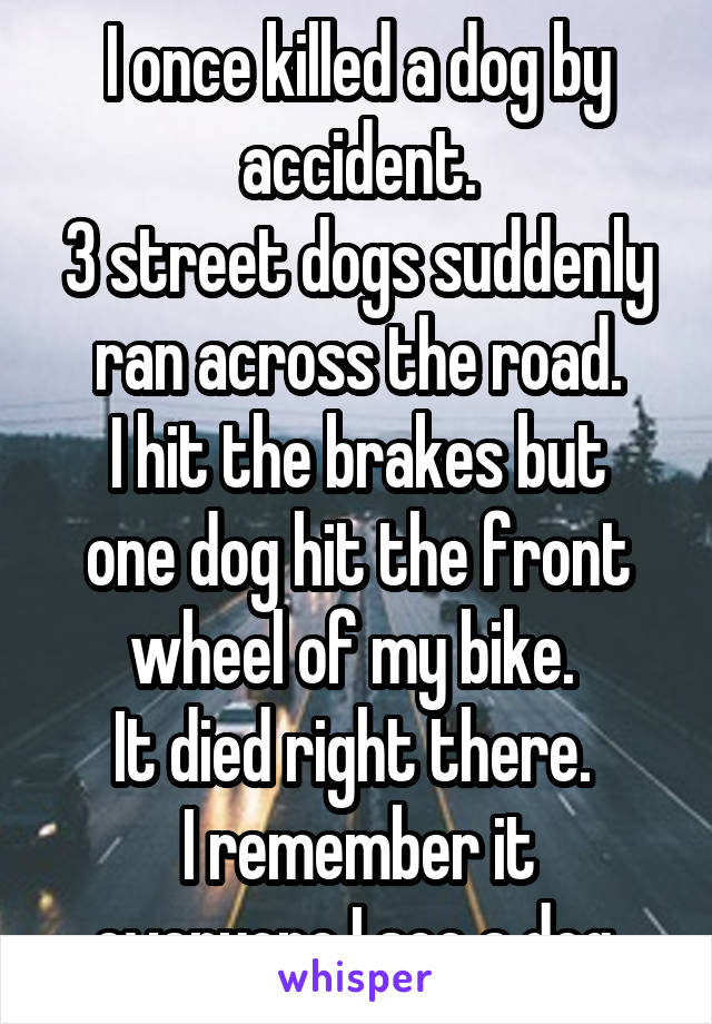 I once killed a dog by accident.
3 street dogs suddenly ran across the road.
I hit the brakes but one dog hit the front wheel of my bike. 
It died right there. 
I remember it everyone I see a dog.