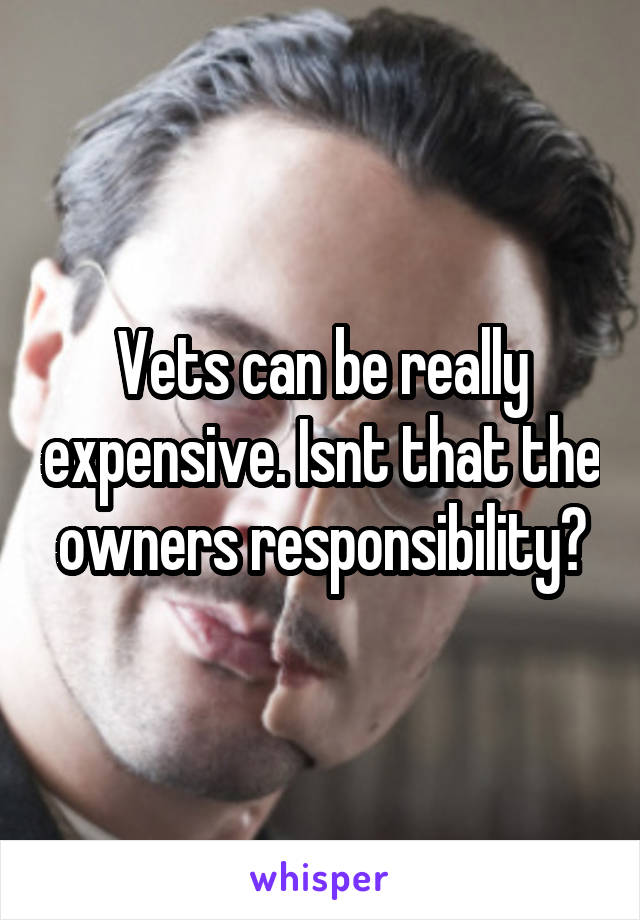 Vets can be really expensive. Isnt that the owners responsibility?