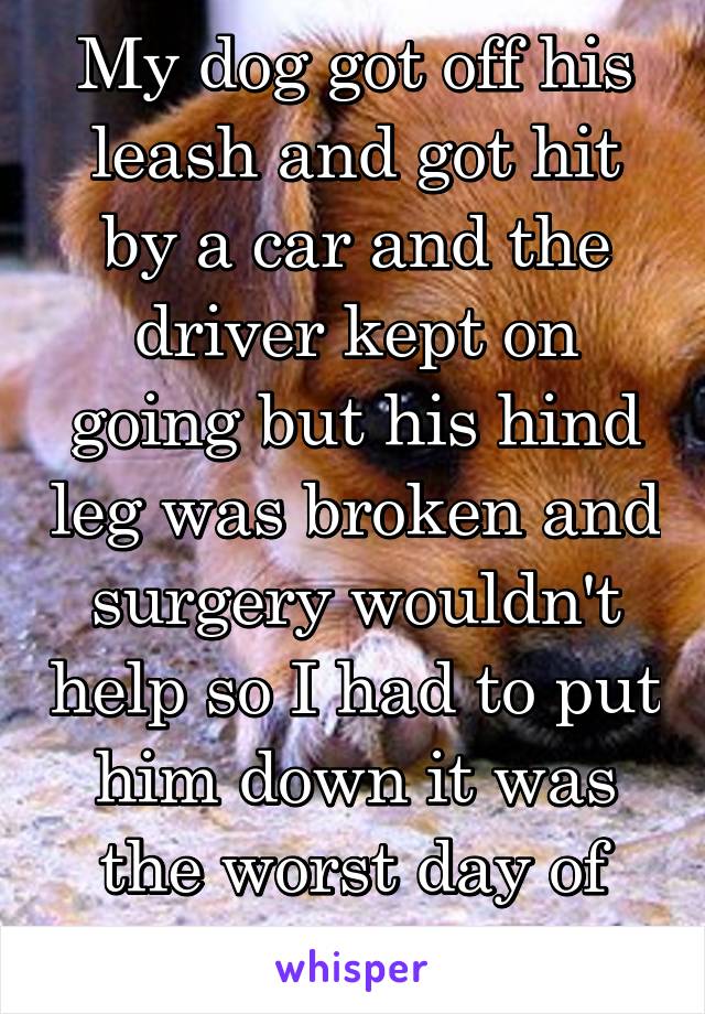 My dog got off his leash and got hit by a car and the driver kept on going but his hind leg was broken and surgery wouldn't help so I had to put him down it was the worst day of my life