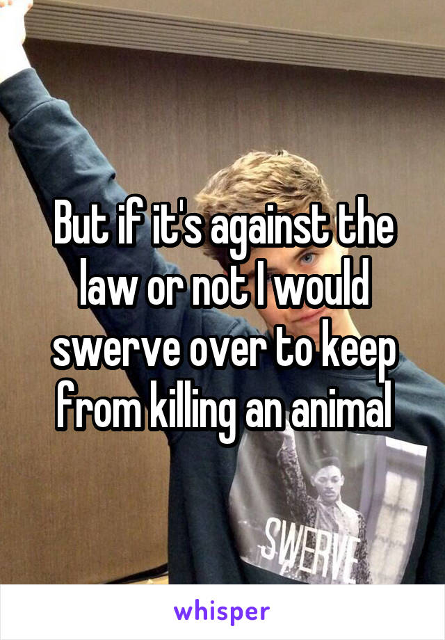 But if it's against the law or not I would swerve over to keep from killing an animal