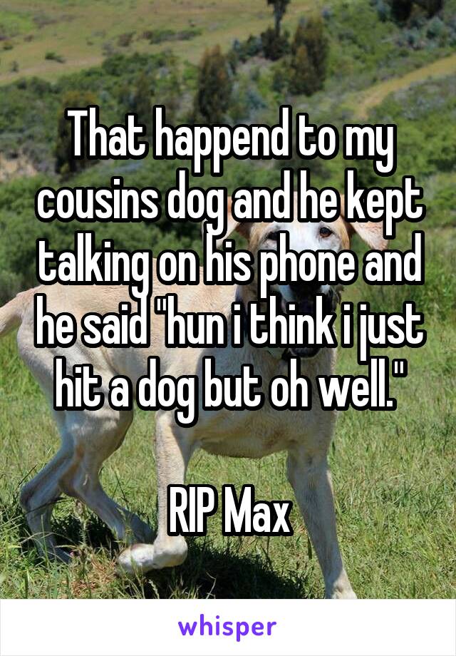 That happend to my cousins dog and he kept talking on his phone and he said "hun i think i just hit a dog but oh well."

RIP Max