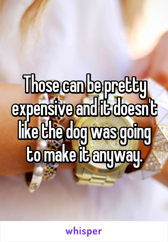 Those can be pretty expensive and it doesn't like the dog was going to make it anyway.