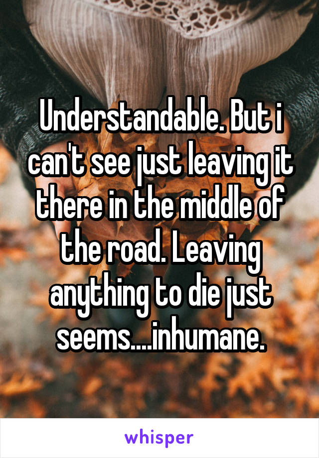 Understandable. But i can't see just leaving it there in the middle of the road. Leaving anything to die just seems....inhumane.