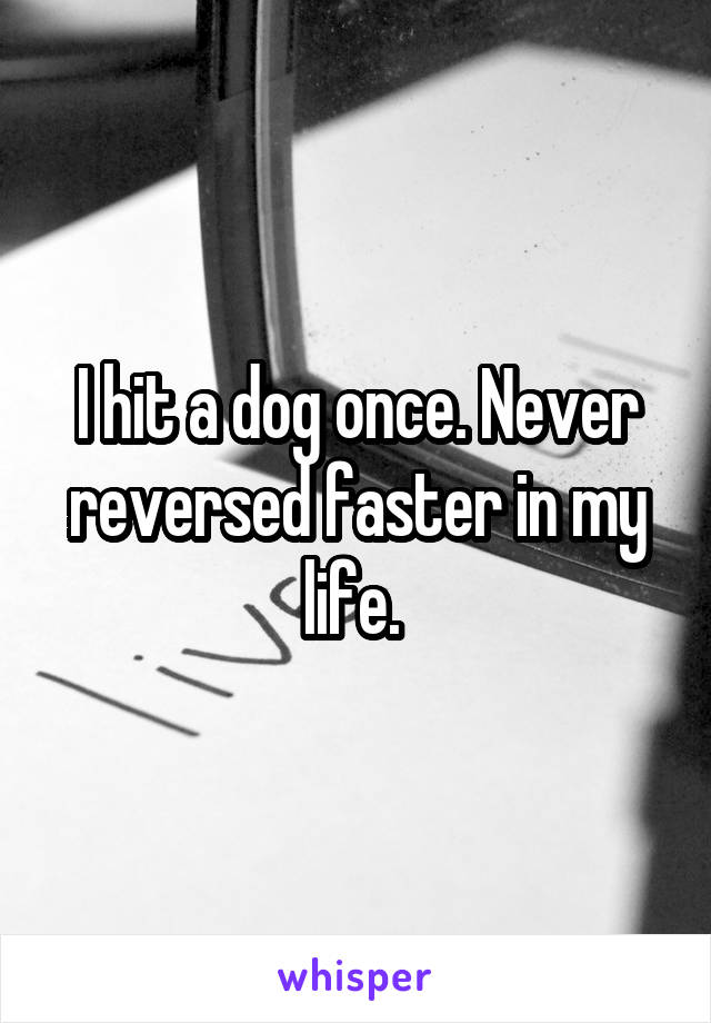 I hit a dog once. Never reversed faster in my life. 
