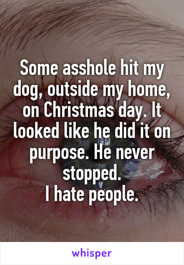 Some asshole hit my dog, outside my home, on Christmas day. It looked like he did it on purpose. He never stopped.
I hate people.
