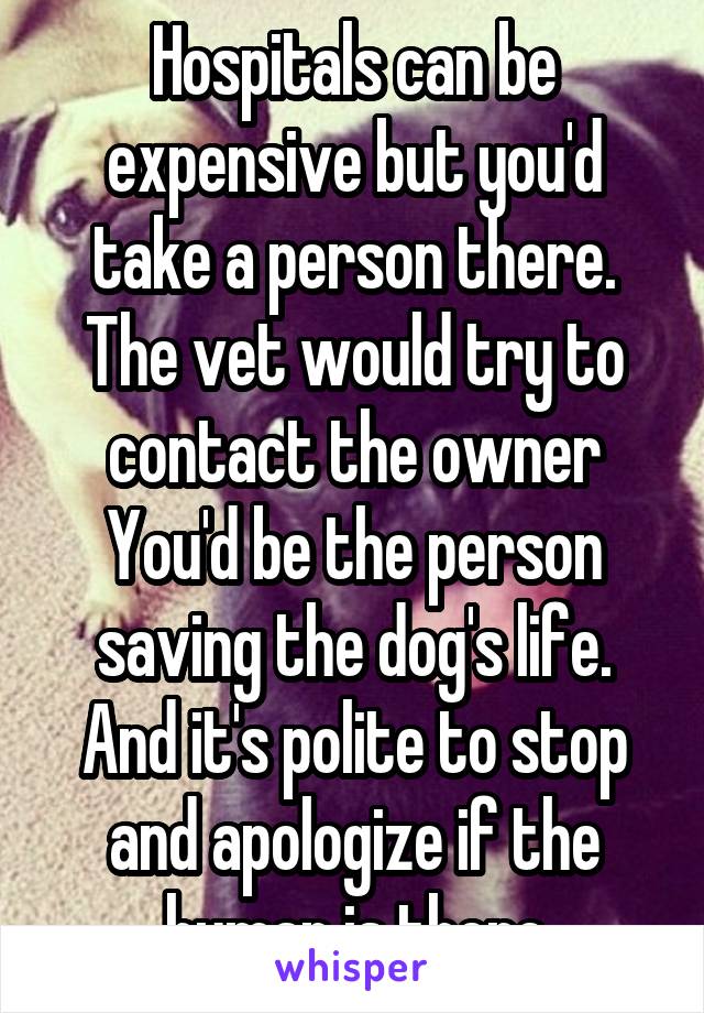 Hospitals can be expensive but you'd take a person there. The vet would try to contact the owner You'd be the person saving the dog's life. And it's polite to stop and apologize if the human is there